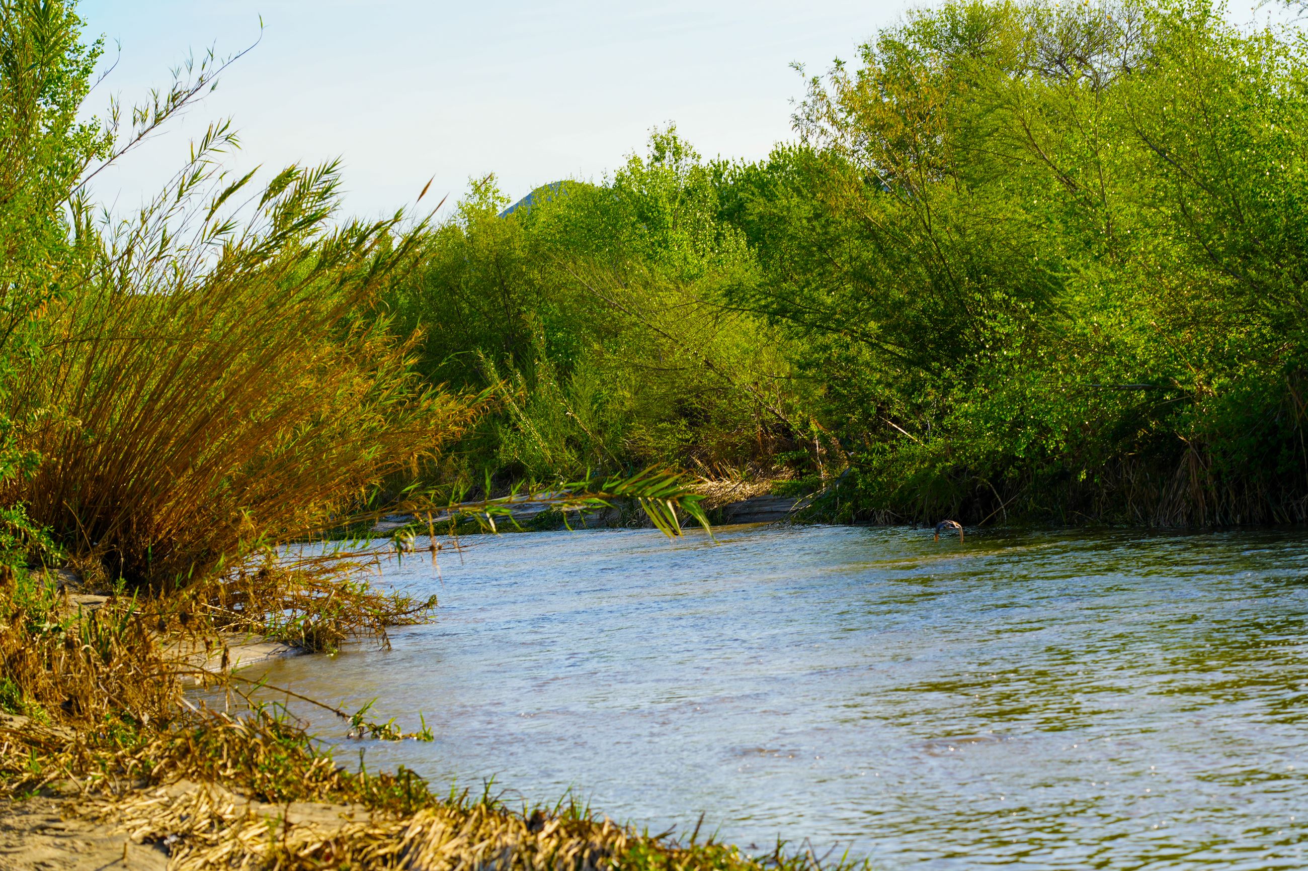 Santa Ana River, entry point from Downey Road